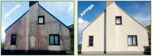 Soft Wash – Biozid für den professionellen Einsatz